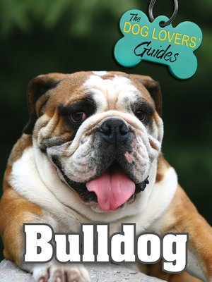 cover image of Bulldog